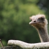 ZATYKI - ZOO SAFARI RUDZIEWICZ