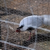 ZATYKI - ZOO SAFARI RUDZIEWICZ