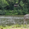 ZATYKI - ZOO SAFARI RUDZIEWICZ
