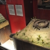 LUBLIN - MUZEUM LUBELSKIE