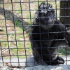 ZAMOŚĆ - ZOO