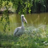 ZAMOŚĆ - ZOO